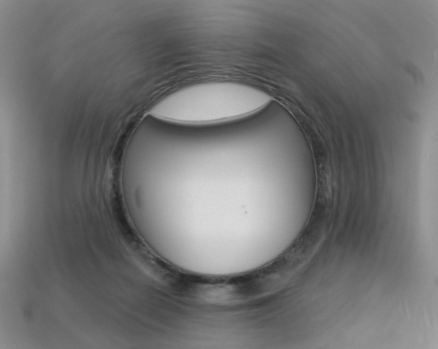 X0000113230266200909100949