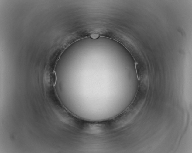 X0000113230268200909100949
