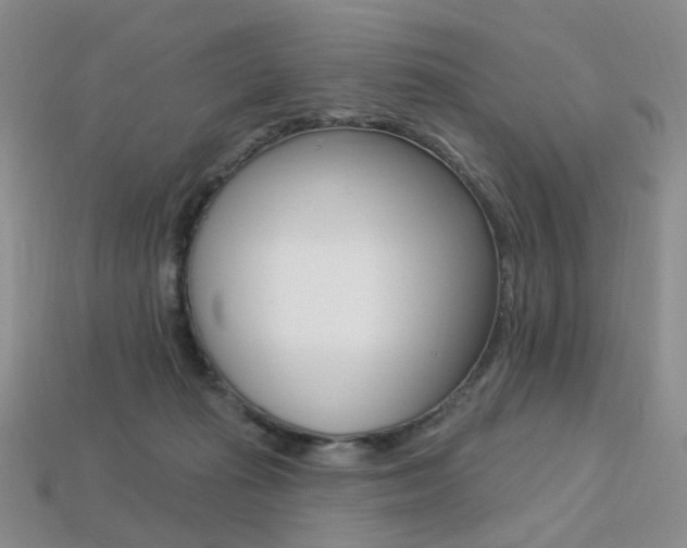 X0000113230269200909100949
