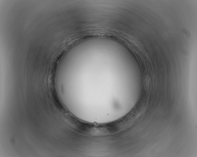 X0000113230270200909100949