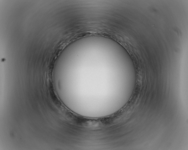 X0000113230272200909100949