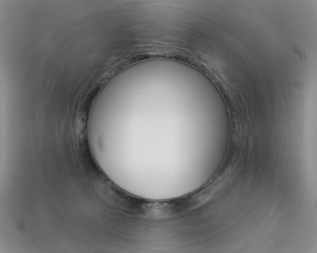 X0000113230273200909100949