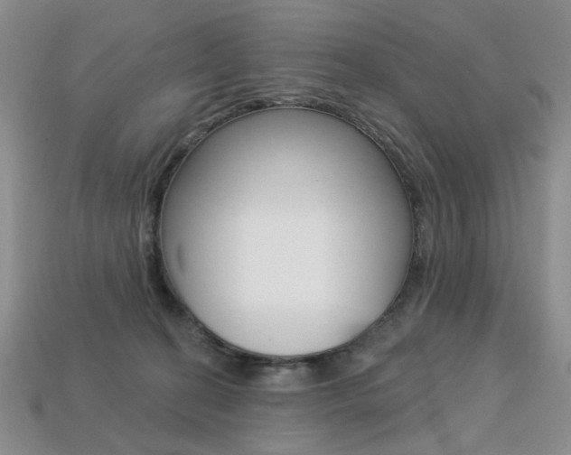 X0000113230274200909100949