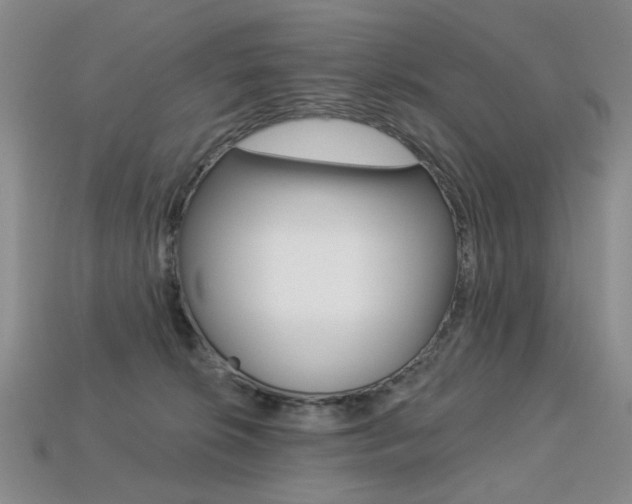 X0000113230276200909100949
