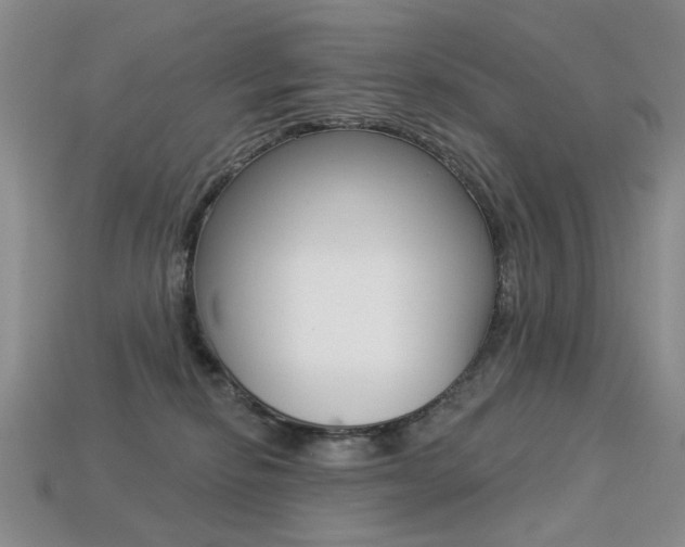 X0000113230278200909100949