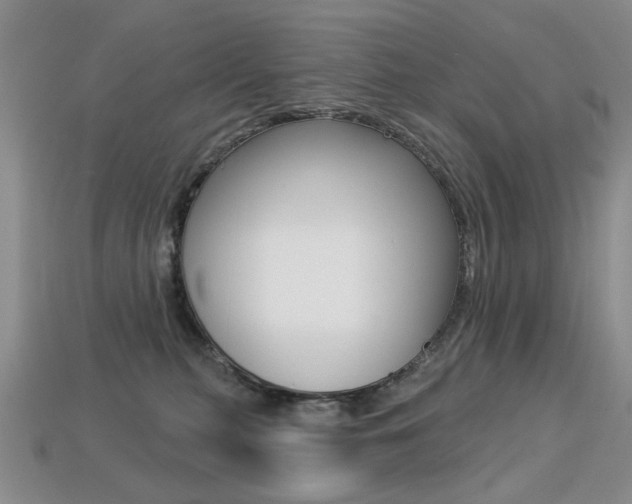 X0000113230279200909100949