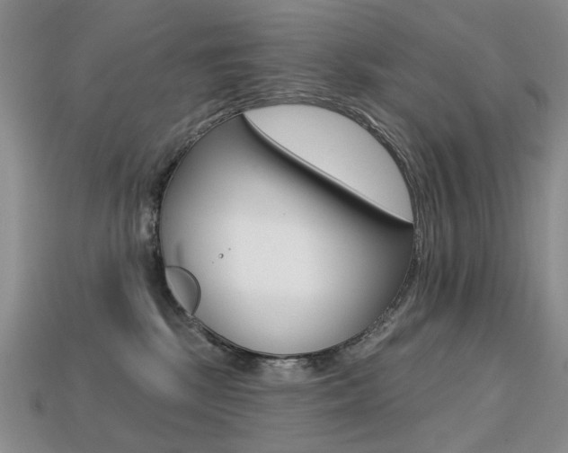 X0000113230281200909100949