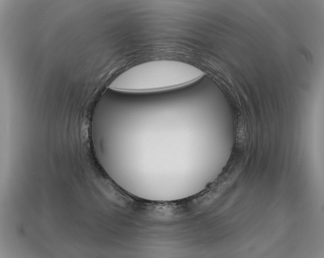 X0000113230282200909100949