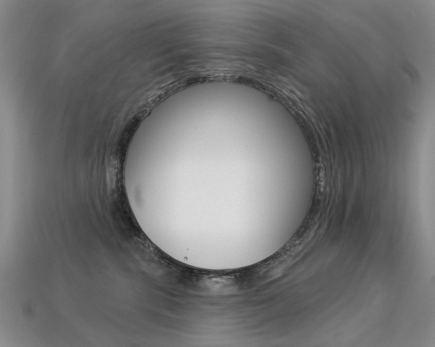 X0000113230283200909100949