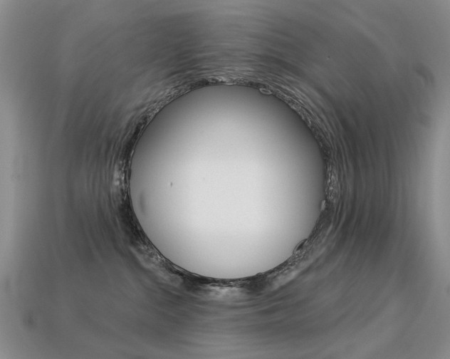 X0000113230284200909100949