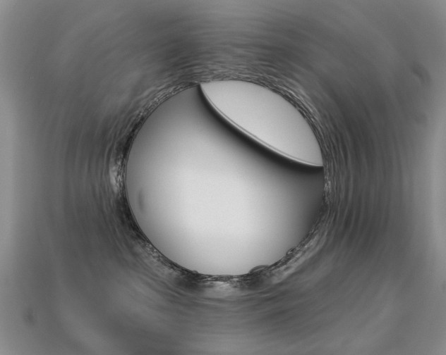 X0000113230285200909100949