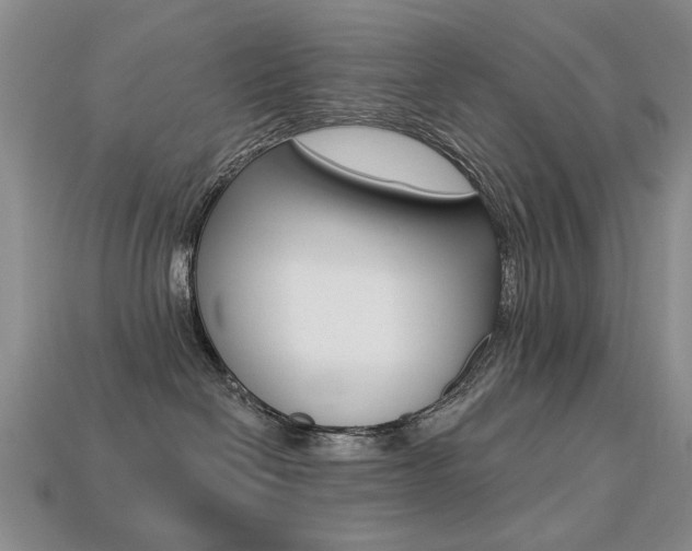 X0000113230286200909100949