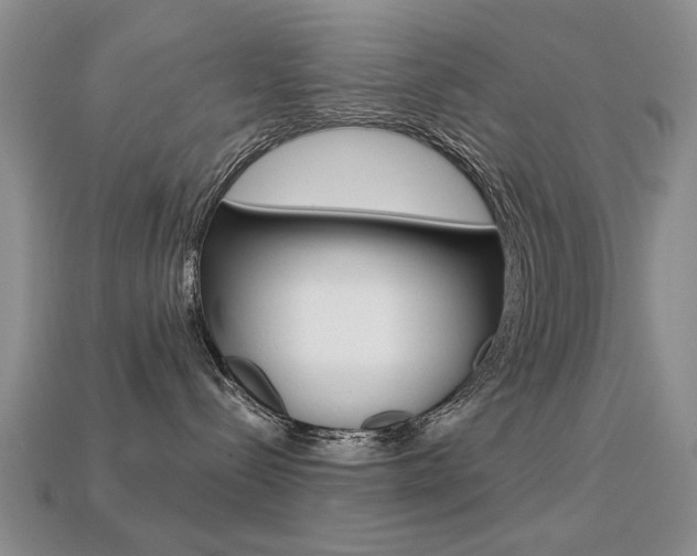 X0000113230288200909100949