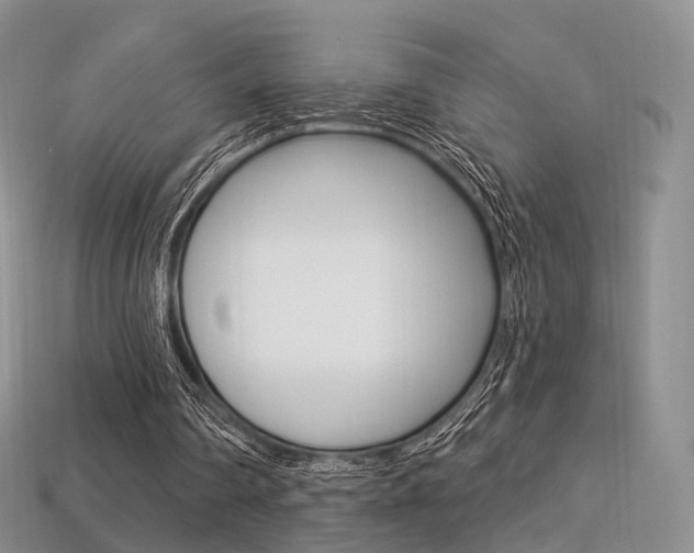 X0000113230290200909100949