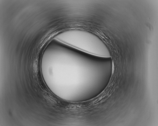 X0000113230291200909100949