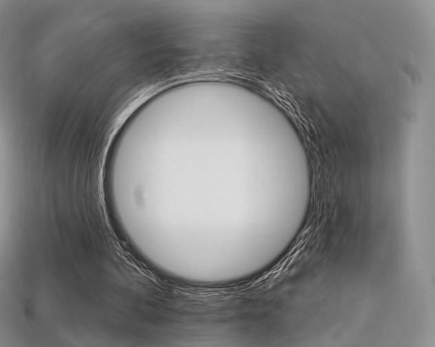 X0000113230292200909100949