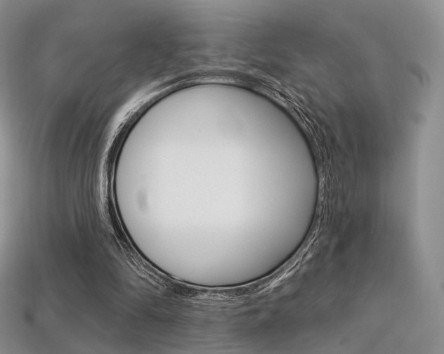 X0000113230294200909100949