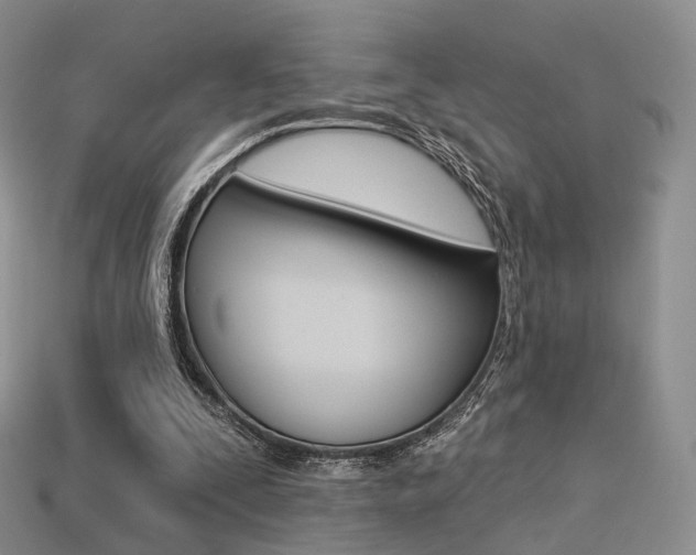 X0000113230295200909100949
