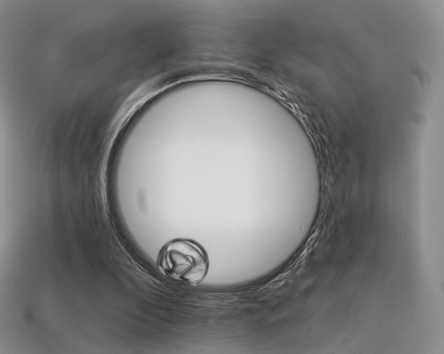 X0000113230296200909100949