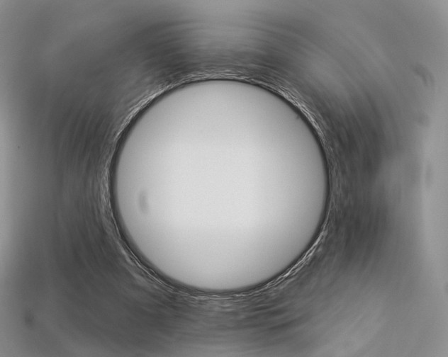 X0000113230297200909100949