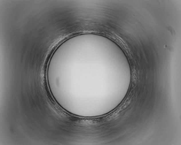 X0000113230298200909100949