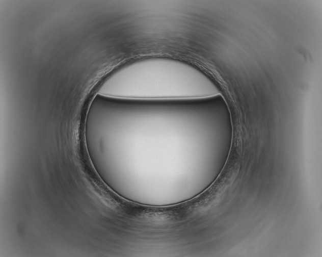 X0000113230299200909100949