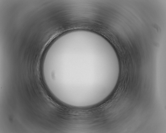 X0000113230300200909100949