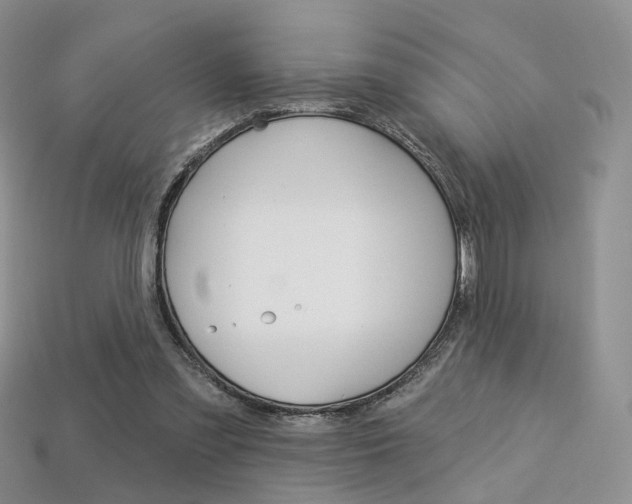 X0000113230301200909100949