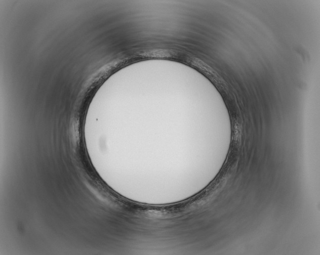 X0000113230302200909100949