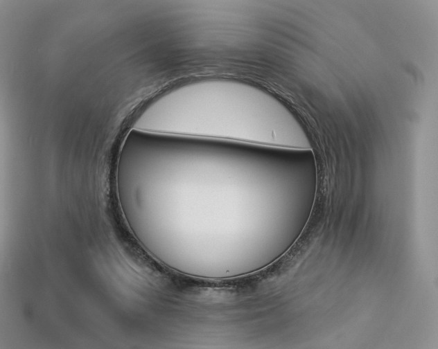 X0000113230303200909100949