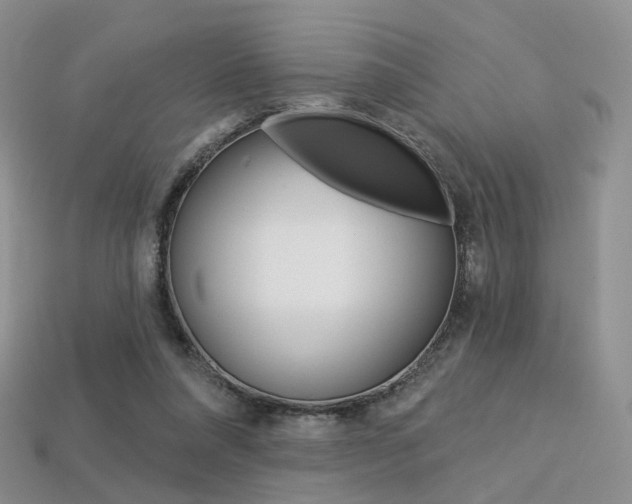 X0000113230304200909100948