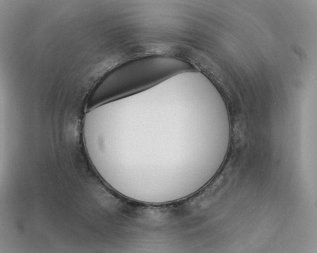 X0000113230305200909100948