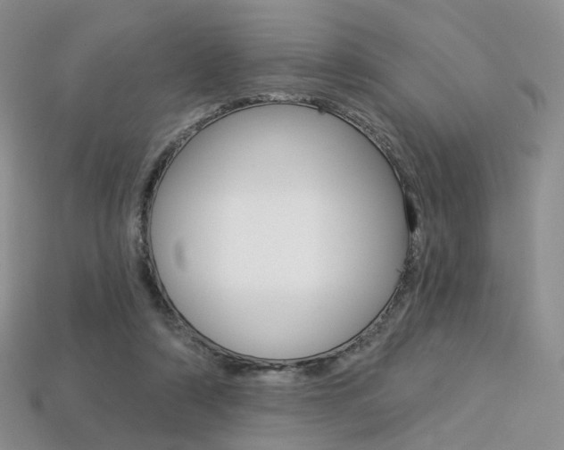 X0000113230306200909100948
