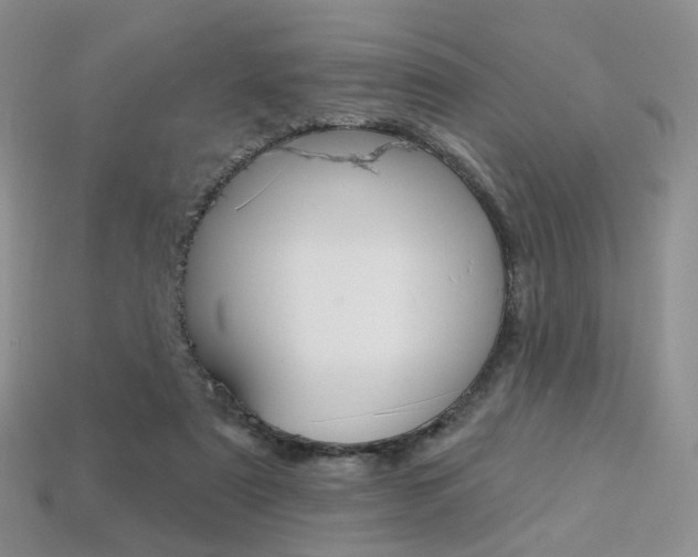 X0000113230307200909100948