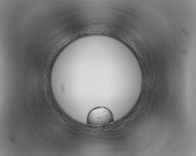 X0000113230309200909100948