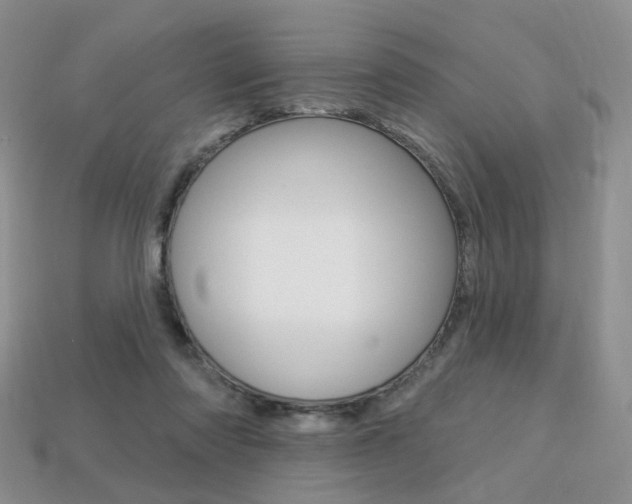 X0000113230310200909100948