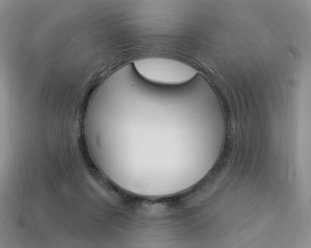 X0000113230311200909100948