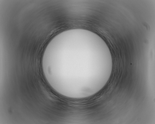 X0000113230312200909100948