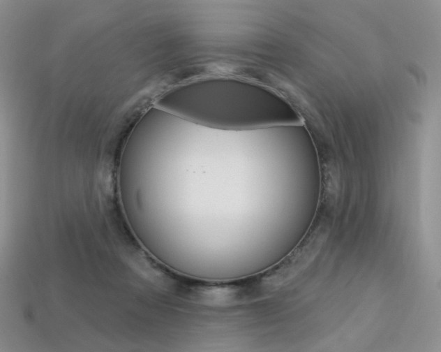 X0000113230313200909100948