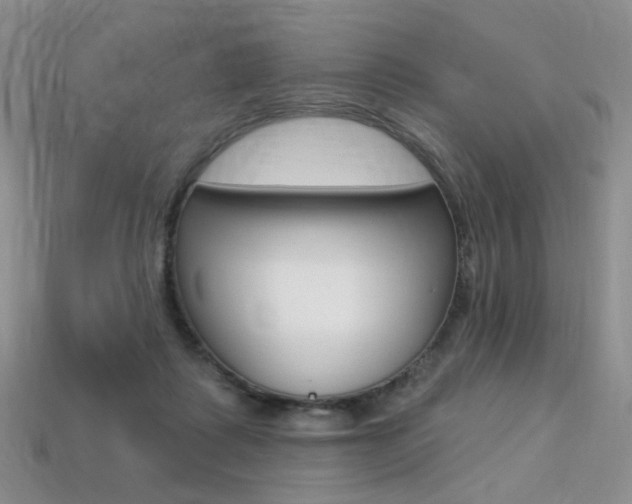 X0000113230315200909100948