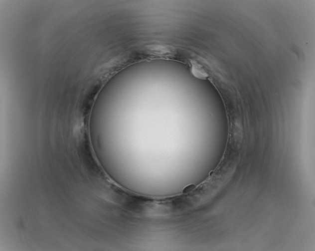 X0000113230320200909100948