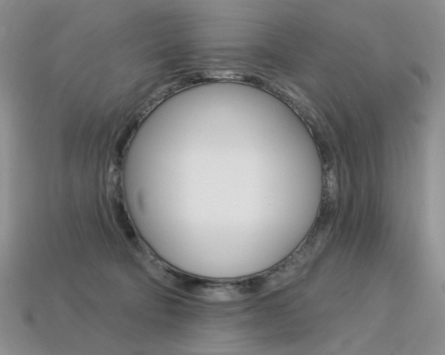 X0000113230322200909100948