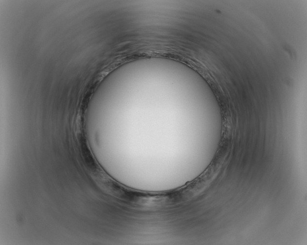 X0000113230323200909100948