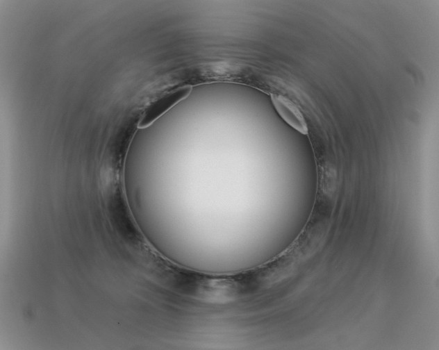 X0000113230324200909100948