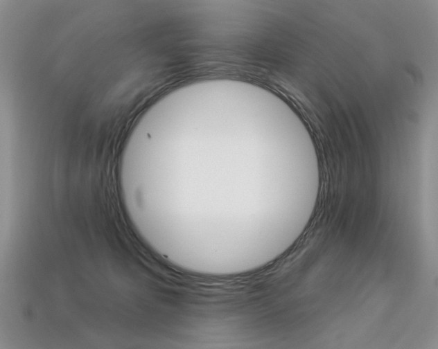X0000113230325200909100948