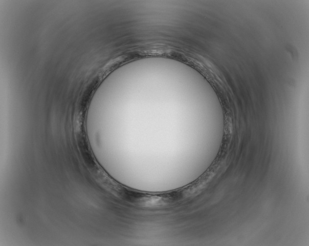 X0000113230326200909100948