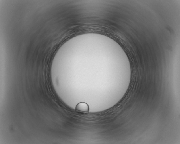 X0000113230327200909100948