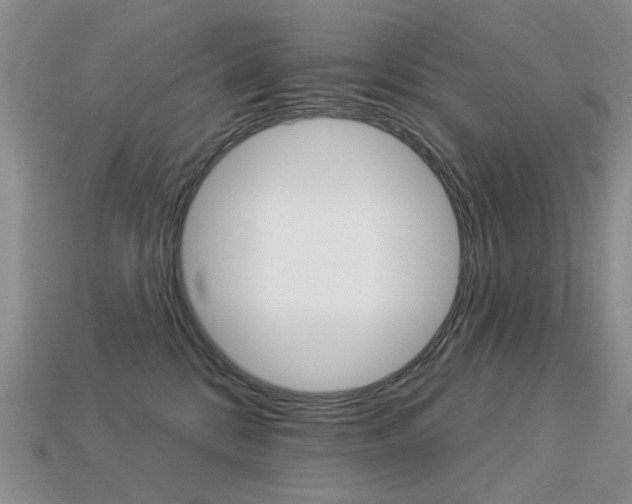 X0000113230328200909100948