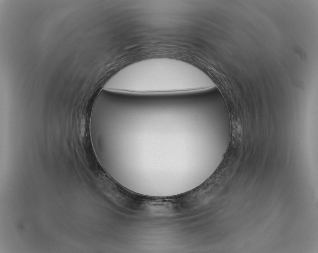 X0000113230331200909100948