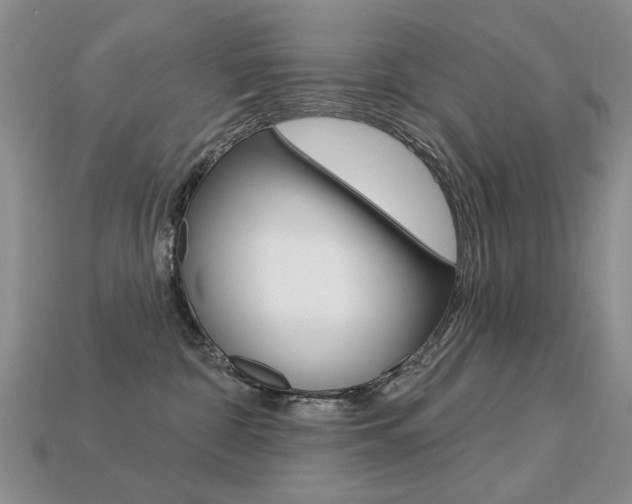 X0000113230332200909100948